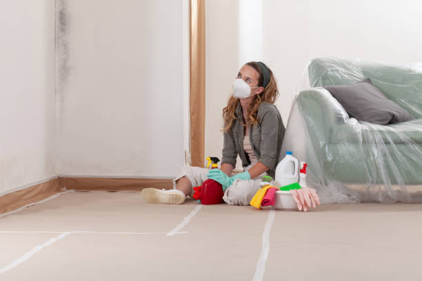Reliable Black Mold Removal contractor in Wyncote, PA by WQB Mold Removal